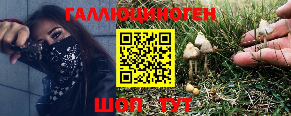 Галлюциногенные грибы Psilocybe  Вход с VPN  Южноуральск  Псилоцибиновые грибы GOLDEN TEACHER 